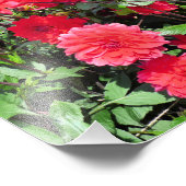 IMPRESSION PHOTO FLEURS DU JARDIN DE PAYS (Coin)