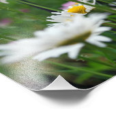 Impression Photo Fleurs du monde (Coin)