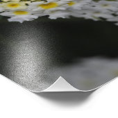 Impression Photo Fleurs - Flores (Coin)