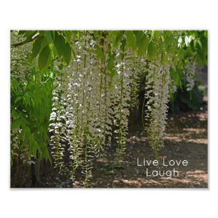 Impression Photo Fleurs Jardin Blanc Wisteria Live Love Laugh