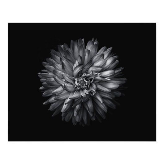 Impression Photo Fleurs jardins En Noir Et Blanc 20 (Devant)