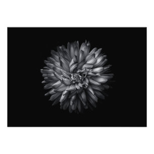 Impression Photo Fleurs jardins En Noir Et Blanc 20