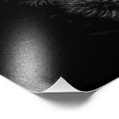 Impression Photo Fleurs jardins En Noir Et Blanc No 29 (Coin)