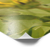 Impression Photo Fleurs jaunes (Coin)