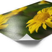Impression Photo Fleurs jaunes (Coin)