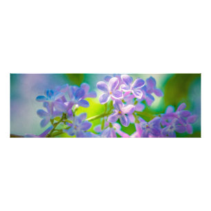 Impression Photo Fleurs Lilac Violettes