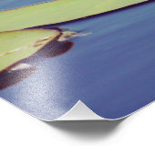 Impression Photo Fleurs Lilly Pond (Coin)