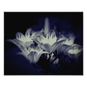Impression Photo Fleurs Lys En Noir Et Blanc 8x10 (Devant)