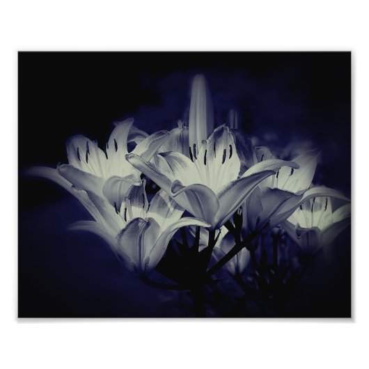 Impression Photo Fleurs Lys En Noir Et Blanc 8x10 (Devant)