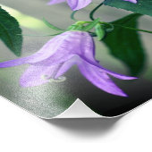 Impression Photo Fleurs Lys violettes délicates 8x8 (Coin)