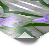 Impression Photo Fleurs Lys violettes délicates Miroir Abstrait 8x8 (Coin)