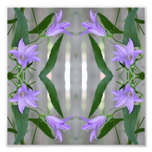 Impression Photo Fleurs Lys violettes délicates Miroir Abstrait 8x8 (Devant)