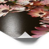 Impression Photo Fleurs marguerites africaines roses 8x10 (Coin)