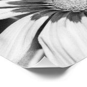 Impression Photo Fleurs noires et blanches (Coin)