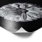 Impression Photo Fleurs Noires Et Blanches 10 (Coin)