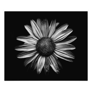 Impression Photo Fleurs Noires Et Blanches 18