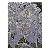 IMPRESSION PHOTO FLEURS RHODODENDRON (Devant)