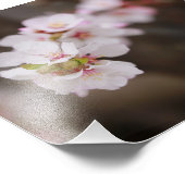 Impression Photo Fleurs rose (Coin)