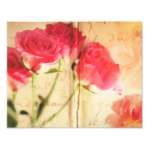 Impression Photo Fleurs Roses de Collage Arrière - plan rose
