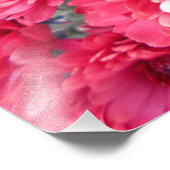 Impression Photo Fleurs rouges de chrysanthème (Coin)