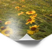 Impression Photo Fleurs sauvages des Prairies à Windy Creek dans le (Coin)