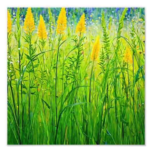 Impression Photo Fleurs sauvages en plein soleil (Devant)