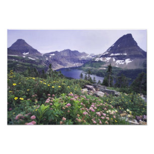 Impression Photo Fleurs sauvages et lac caché, Arbustif