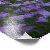 Impression Photo fleurs sauvages violets partout (Coin)
