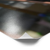 Impression Photo Fleurs Vénus Flytrap (Coin)