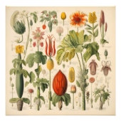 Impression Photo Fleurs vintages (Devant)