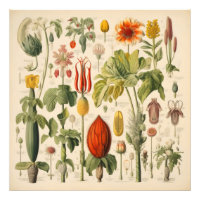Fleurs vintages