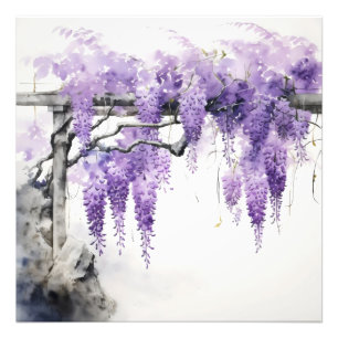 Impression Photo Fleurs violettes couleur Wisteria