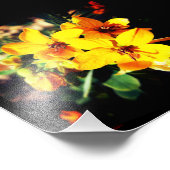 Impression Photo Fleurs vives (Coin)