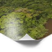 Impression Photo Fleuve Essequibo, plus long fleuve de Guyane, et 5 (Coin)