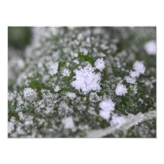 Impression Photo Flocons de neige