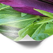 Impression Photo Floraison florissante de dragon violet Lily (Coin)