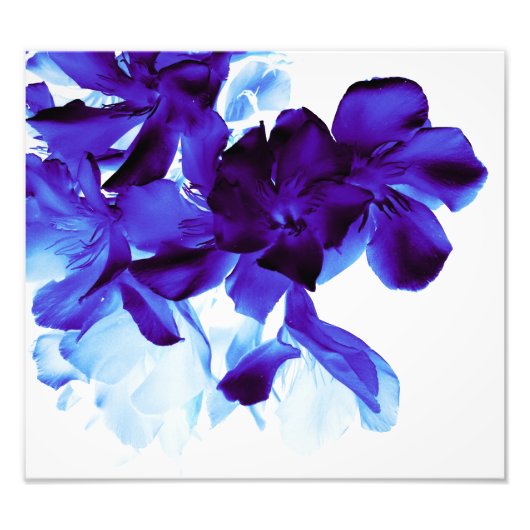 Impression Photo floral (Devant)
