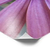 Impression Photo floral (Coin)
