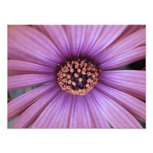 Impression Photo floral (Devant)