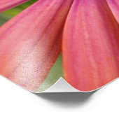 Impression Photo floral (Coin)