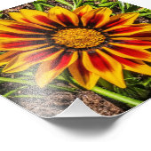 Impression photo Floral 1 (Coin)