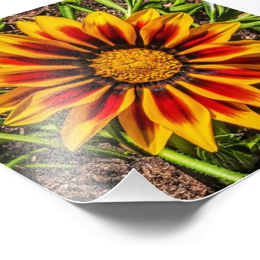 Impression photo Floral 1 (Coin)