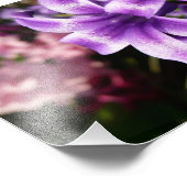 Impression Photo Floral Blue Hyacinth (Coin)