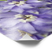 Impression Photo Floral de Delphinium pourpre (Coin)