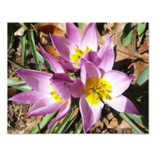 Impression Photo Floral de Pink