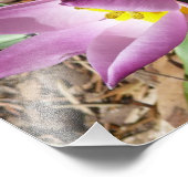 Impression Photo Floral de Pink (Coin)