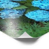 Impression Photo Floral d'Hydrangée Bleue (Coin)