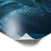 Impression Photo Floral orchidée bleue (Coin)