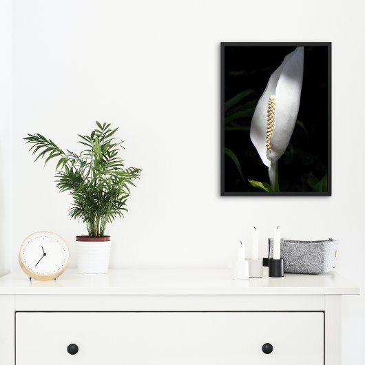 Impression Photo Floral Plante blanc Lily