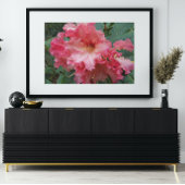 Impression Photo Floral rose Rhododendron